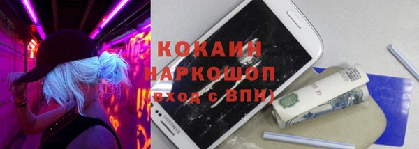 прущие грибы Балахна