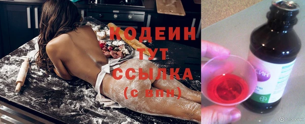 прущие грибы Балахна