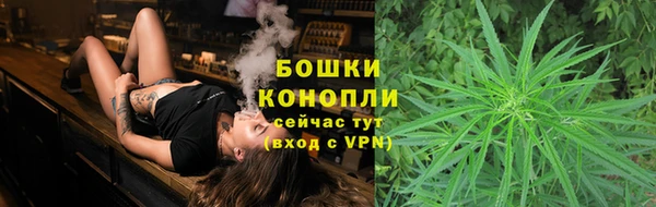 прущие грибы Балахна
