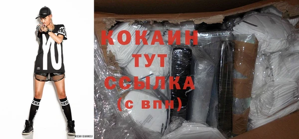 прущие грибы Балахна